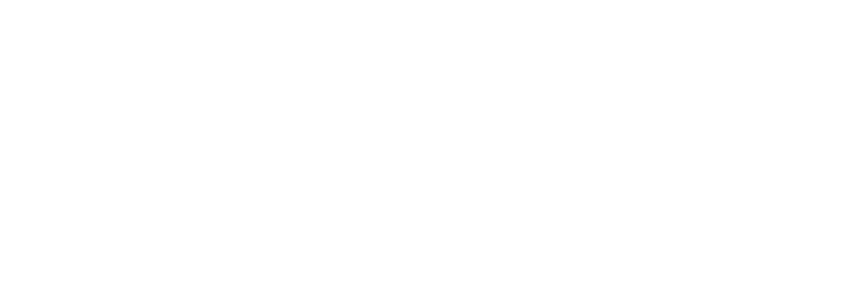 1993 1993